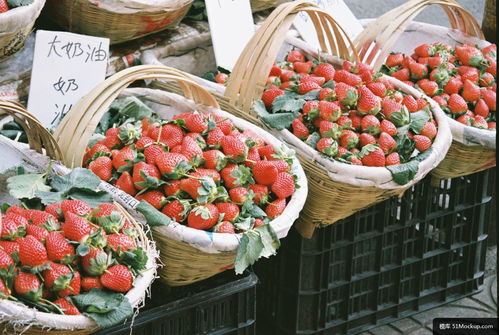 水果 食品 植物 草莓 购物篮 覆盆子 美食摄影图片