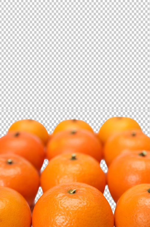 排列橙子水果食品物品PNG摄影图片 素材13